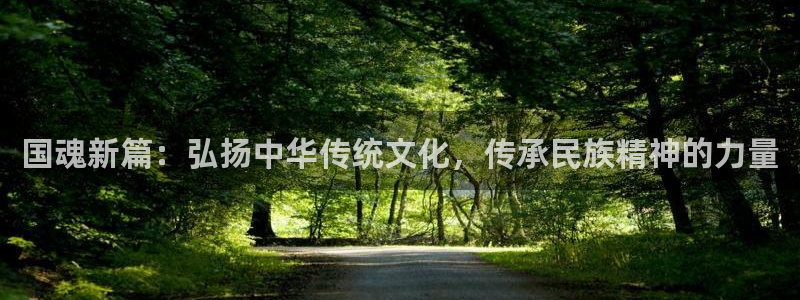 日韩yy漫画：国魂新篇：弘扬中华传统文化，传承民族精神的力量
