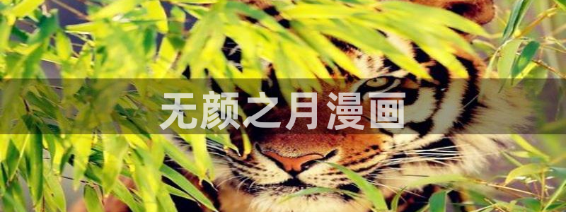 yy漫画网址