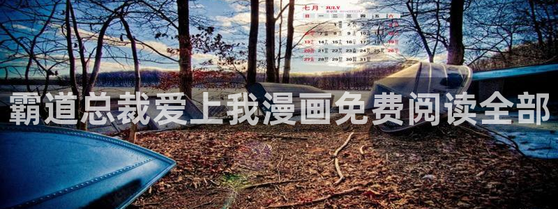 yy漫画免费读漫画：霸道总裁爱上我漫画免费阅读全部