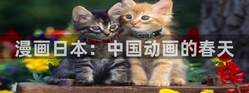 yy漫画免费漫画在线看：漫画日本：中国动画的春天