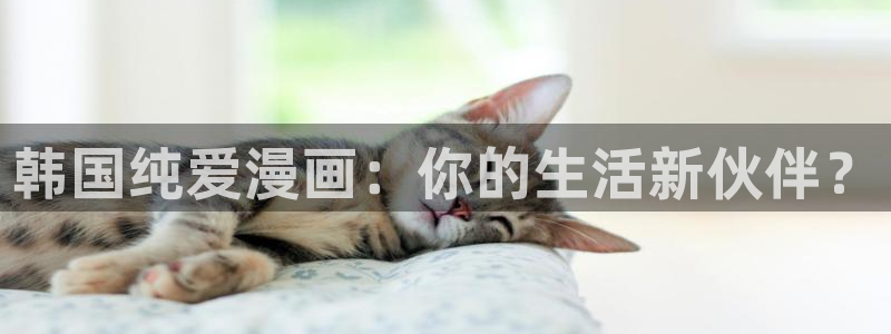 大人在线看yy漫画：韩国纯爱漫画：你的生活新伙伴？