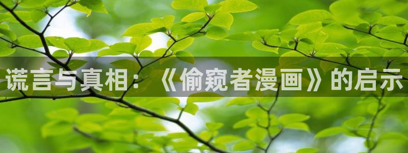 yy漫画 在线：谎言与真相：《偷窥者漫画》的启示