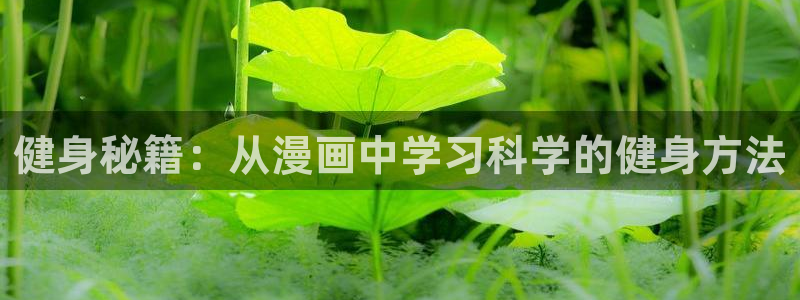 yy漫画 app：健身秘籍：从漫画中学习科学的健身方法