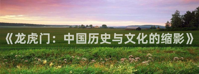 yy漫画下：《龙虎门：中国历史与文化的缩影》